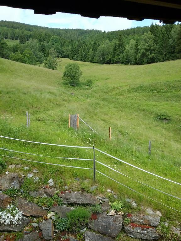 Almwiese Apartment Stadl an der Mur Kültér fotó